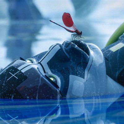 Marathon seasonal wipes