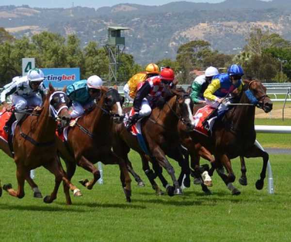 Churchill Downs stock