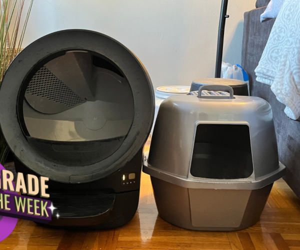 self-cleaning litter boxes