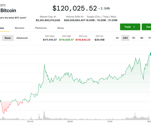Bitcoin price rally