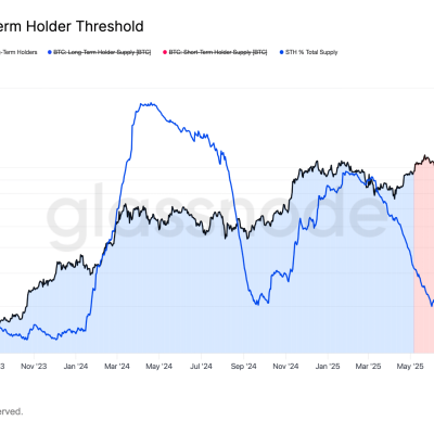 Bitcoin short-term holders